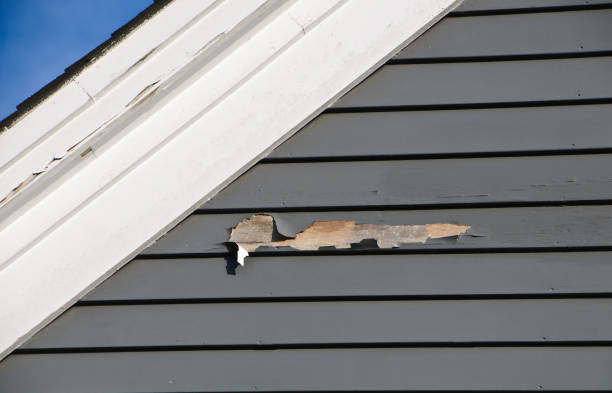 Best Historical Building Siding Restoration  in Bethel, WA