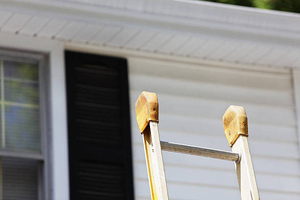 Best Siding Painting and Refinishing  in Bethel, WA